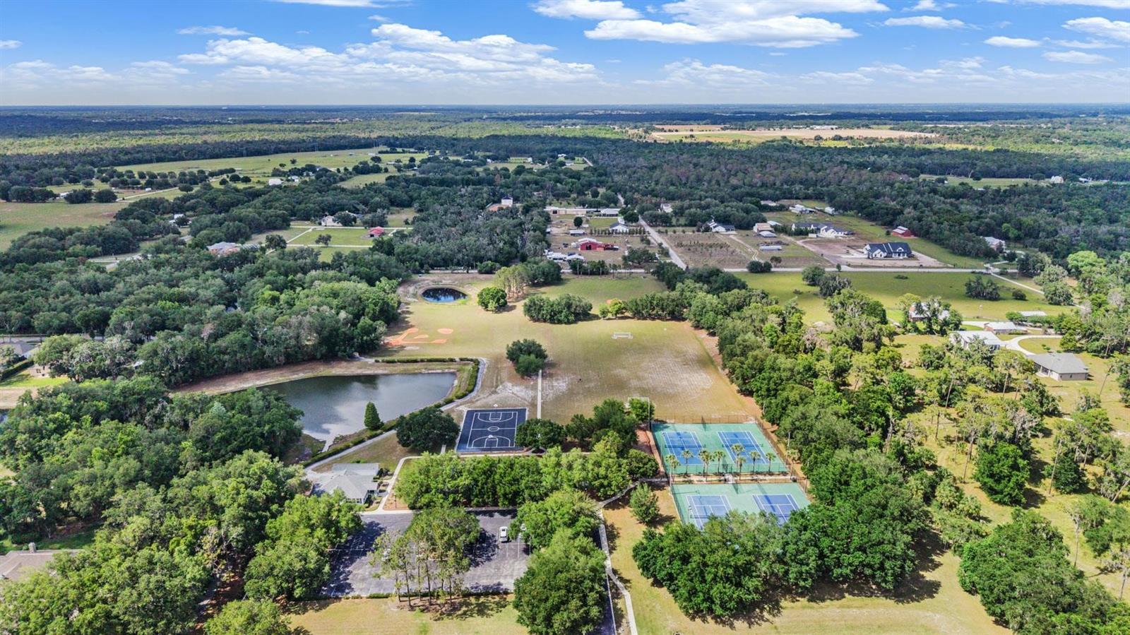 6004 HAMMOCK HILL AVE, LITHIA, FL, 33547