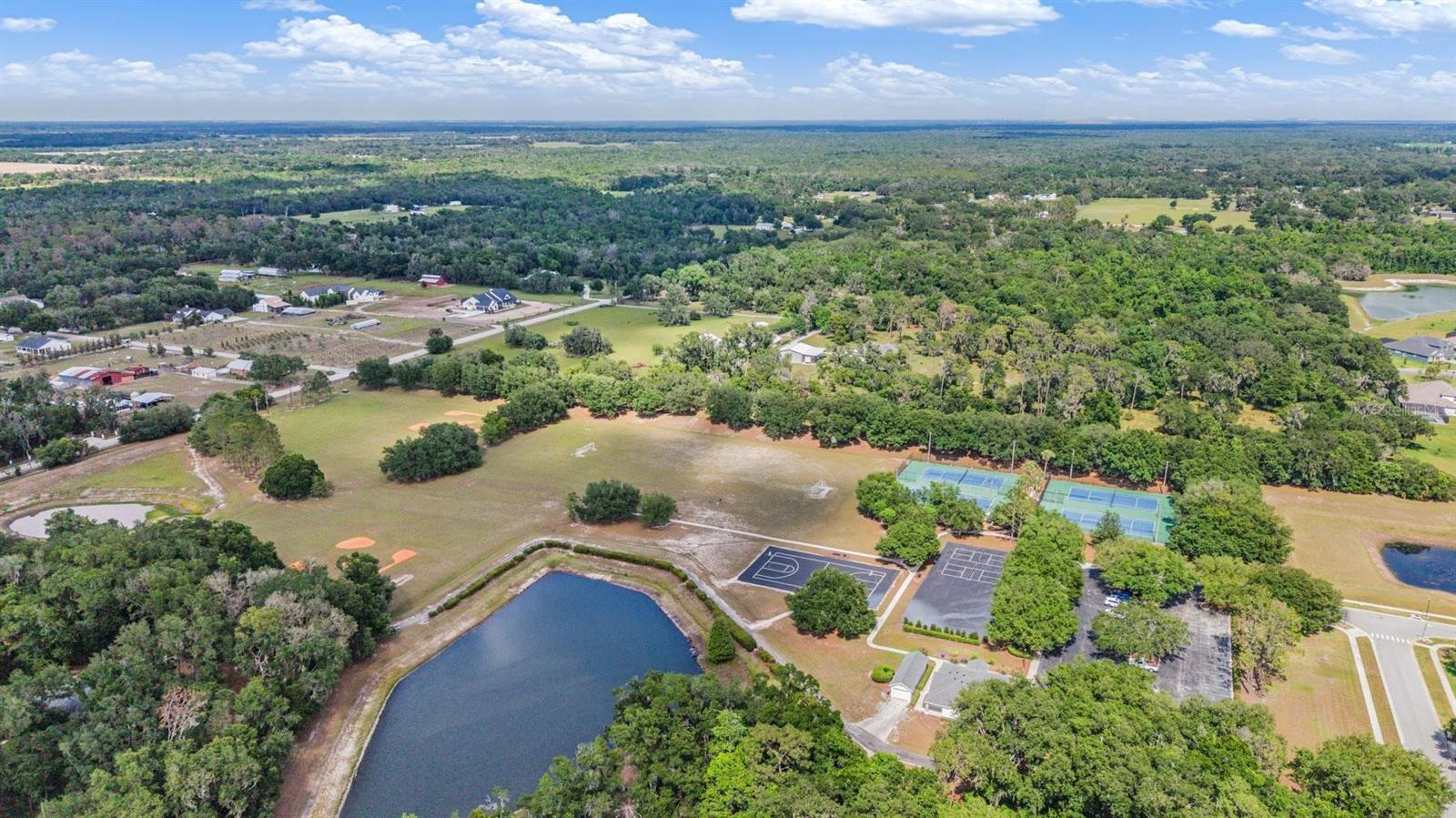 6004 HAMMOCK HILL AVE, LITHIA, FL, 33547