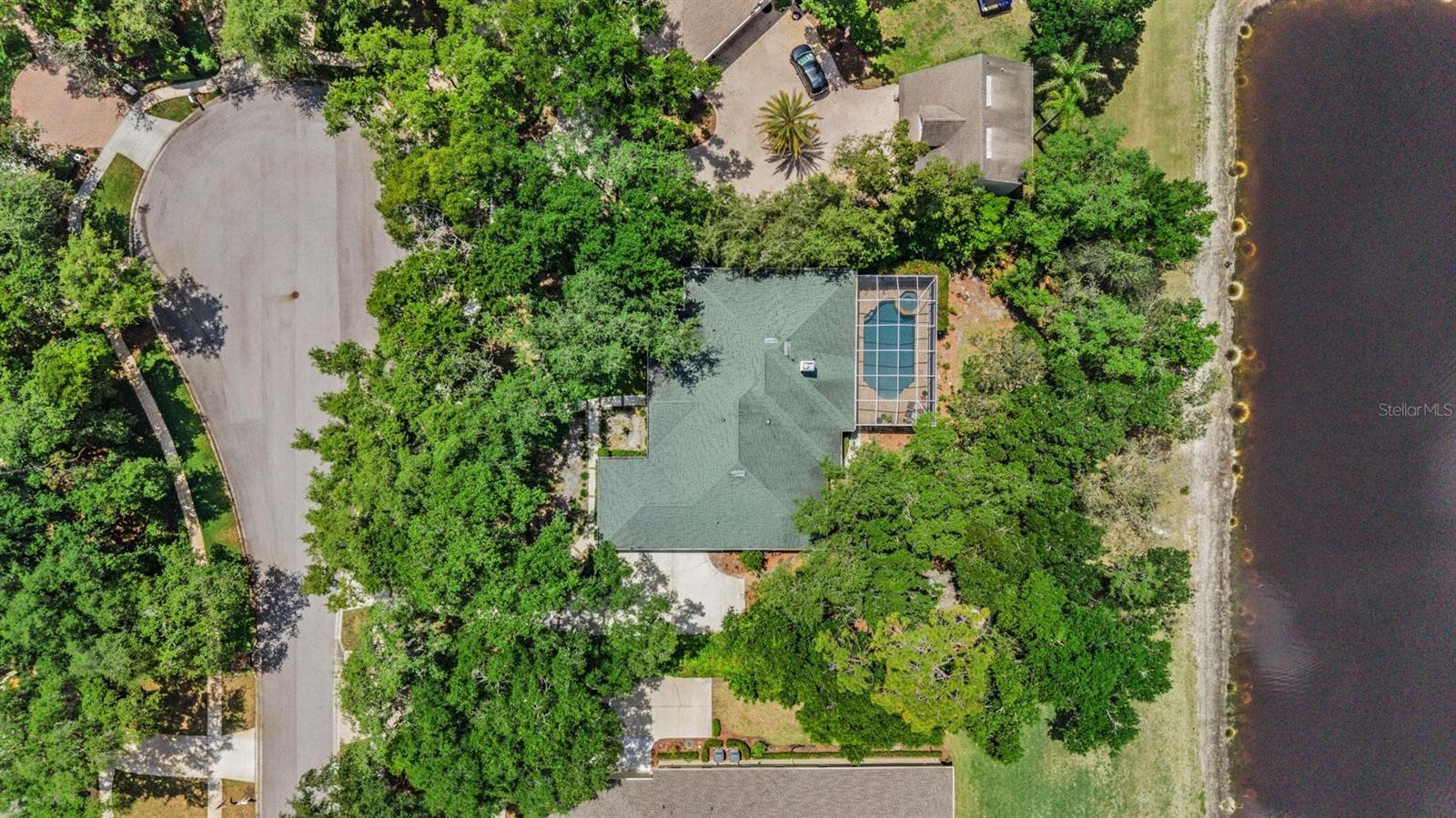 6004 HAMMOCK HILL AVE, LITHIA, FL, 33547
