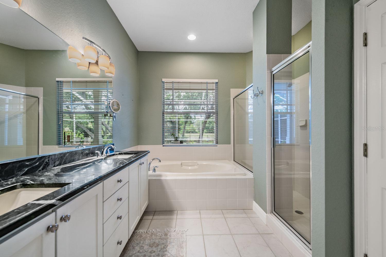 6004 HAMMOCK HILL AVE, LITHIA, FL, 33547