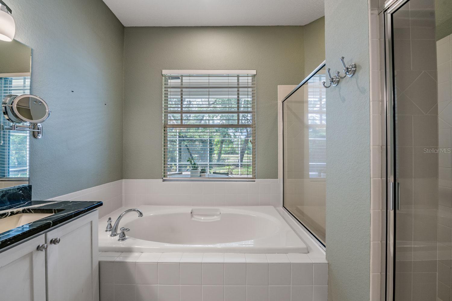 6004 HAMMOCK HILL AVE, LITHIA, FL, 33547