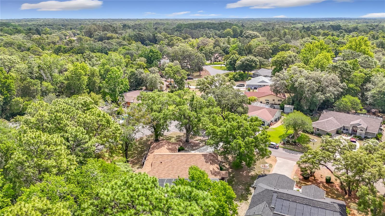 2 JUNGLEPLUM CT W, HOMOSASSA, FL, 34446