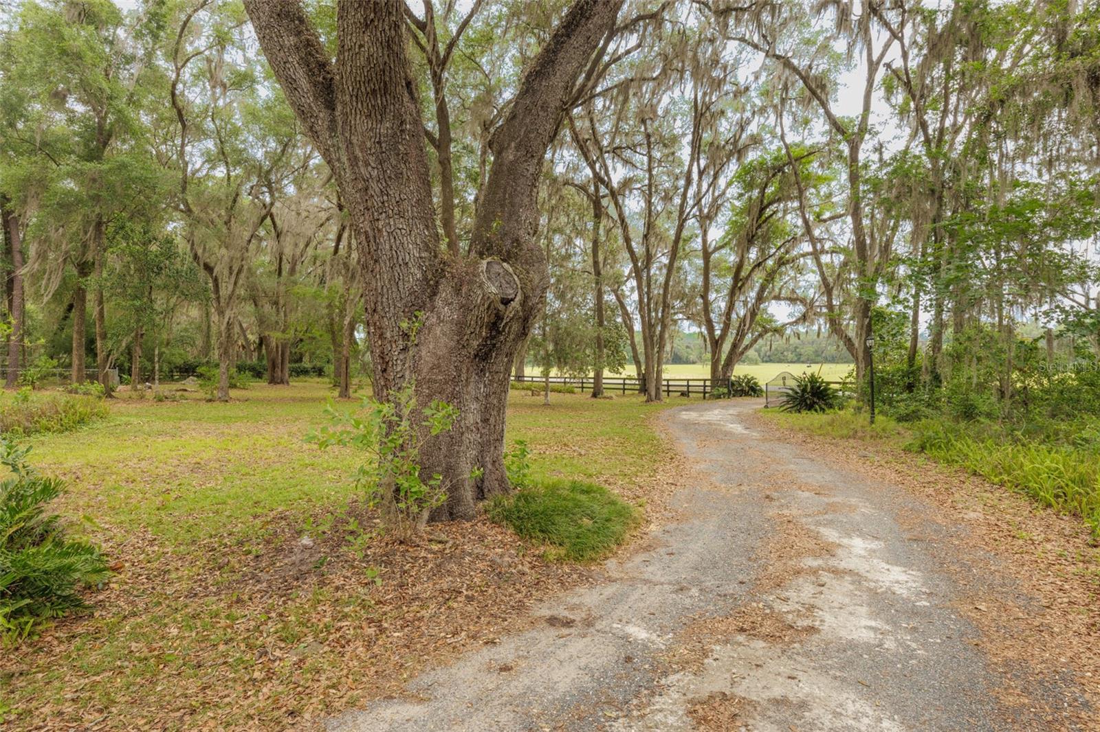 818 NW 202ND ST, NEWBERRY, FL, 32669