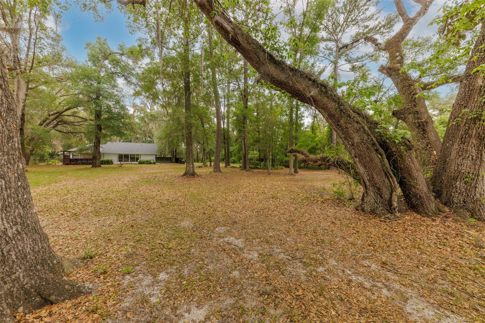 818 NW 202ND ST, NEWBERRY, FL, 32669