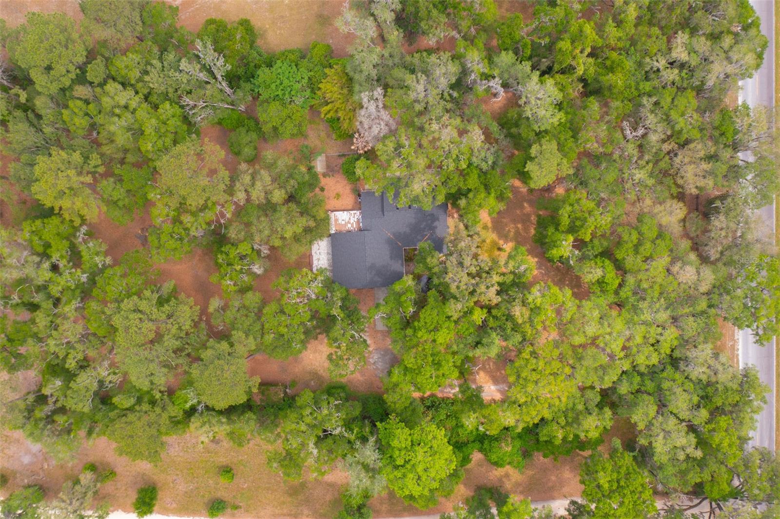 818 NW 202ND ST, NEWBERRY, FL, 32669