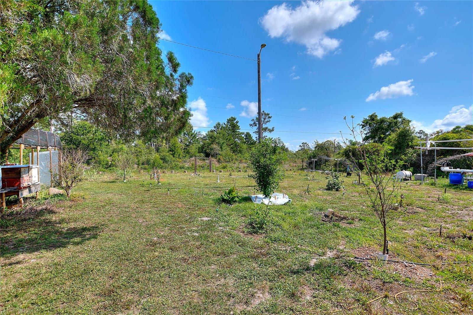 3850 PARK AVE, INDIAN LAKE ESTATES, FL, 33855