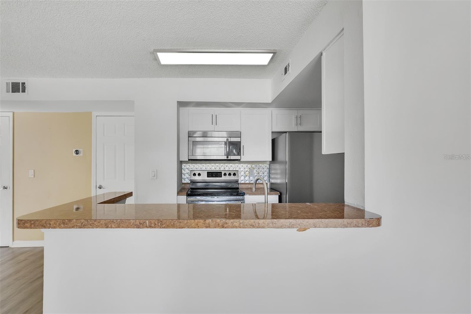 413 FOUNTAINHEAD CIR #132, KISSIMMEE, FL, 34741