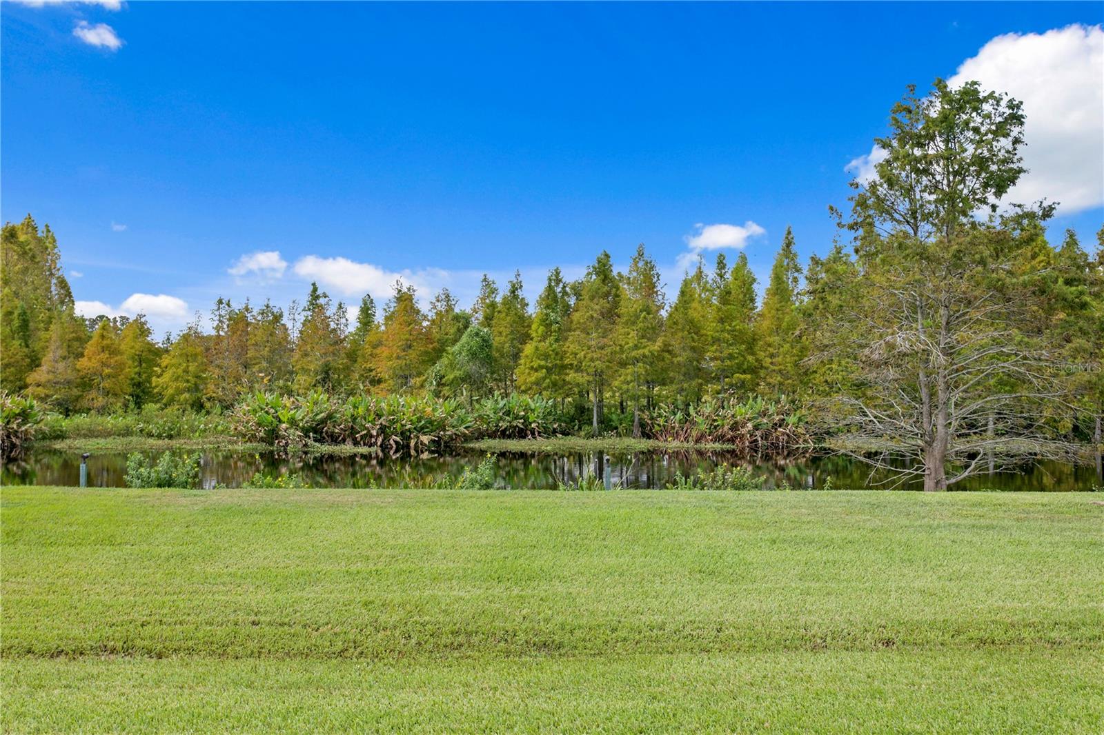 10521 BROADLAND PASS, THONOTOSASSA, FL, 33592