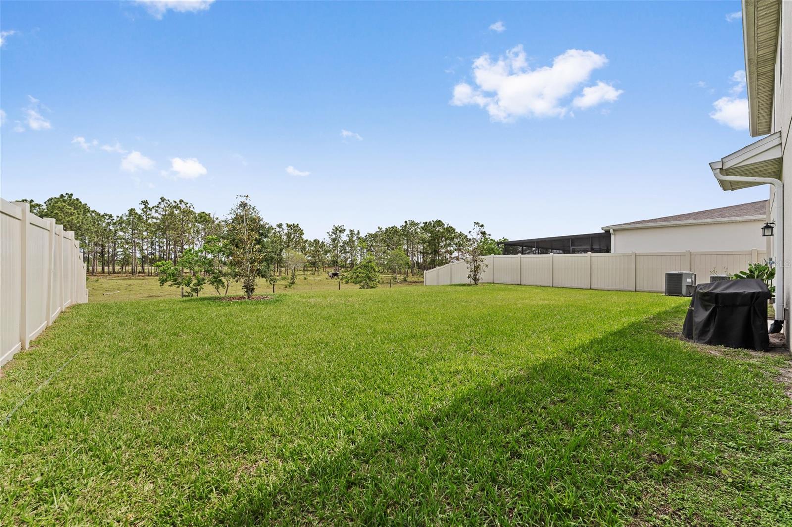799 HITCH LOOP, ST CLOUD, FL, 34772