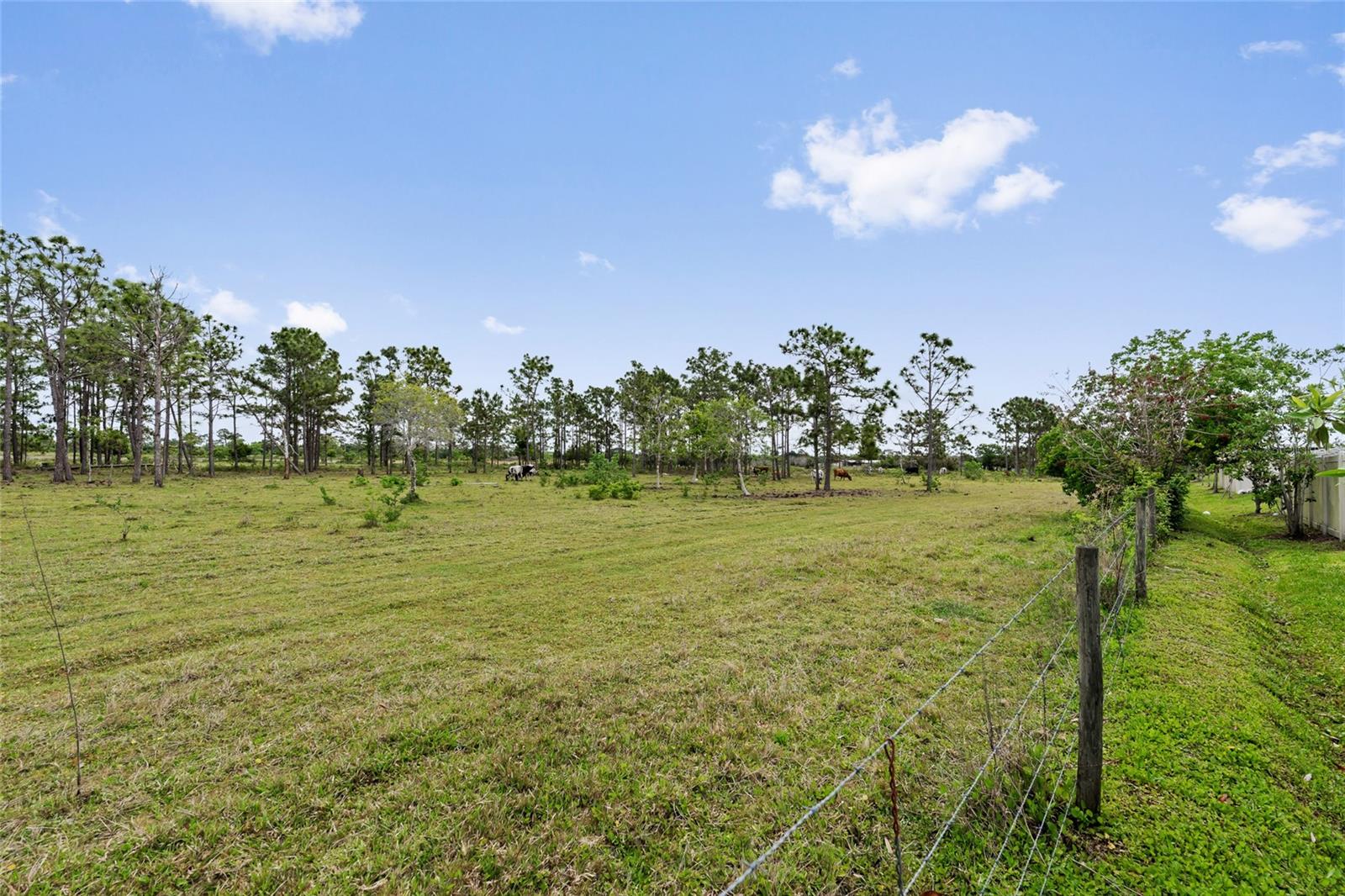 799 HITCH LOOP, ST CLOUD, FL, 34772