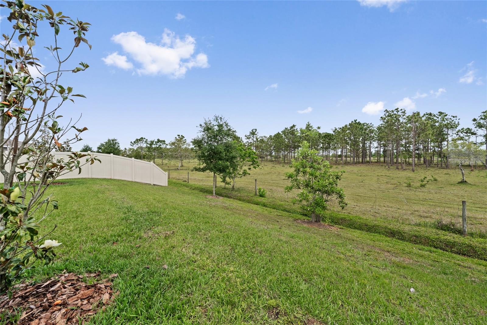 799 HITCH LOOP, ST CLOUD, FL, 34772