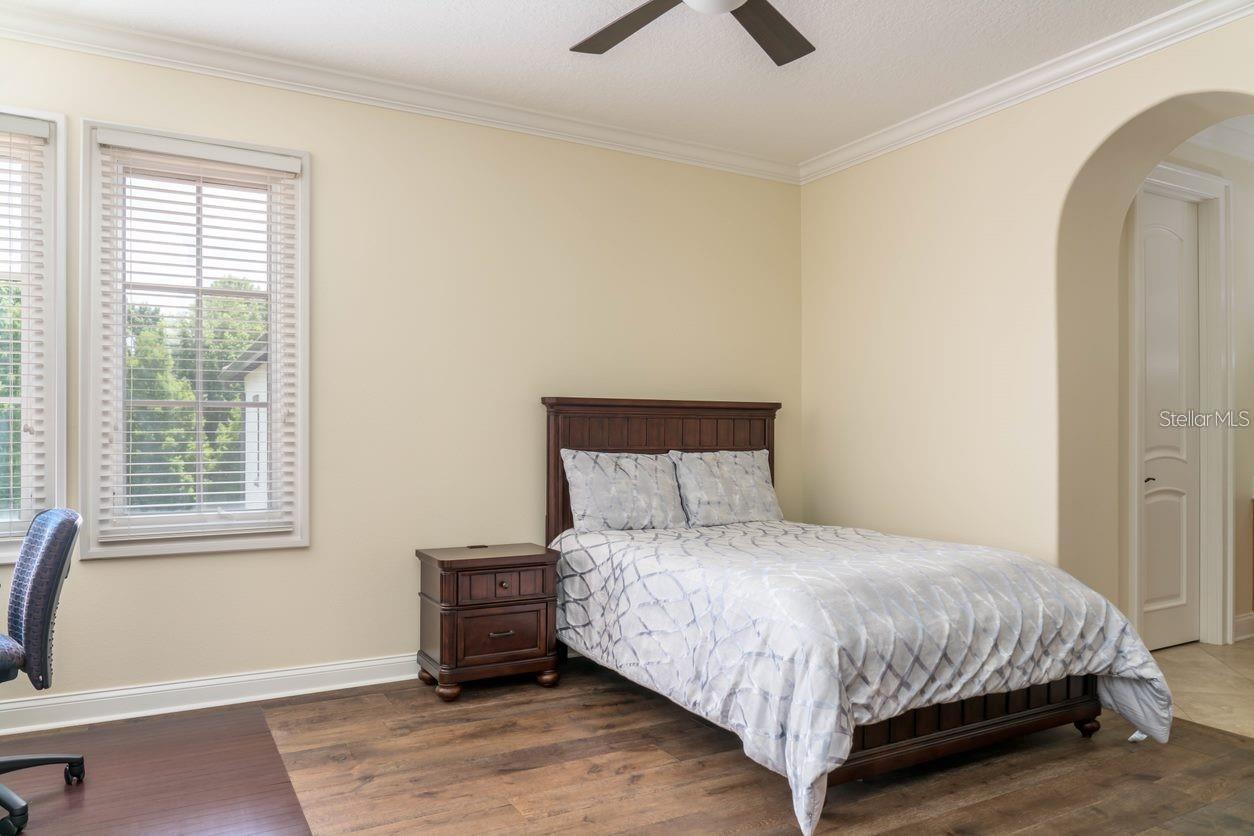 713 EASTLAWN DR, CELEBRATION, FL, 34747