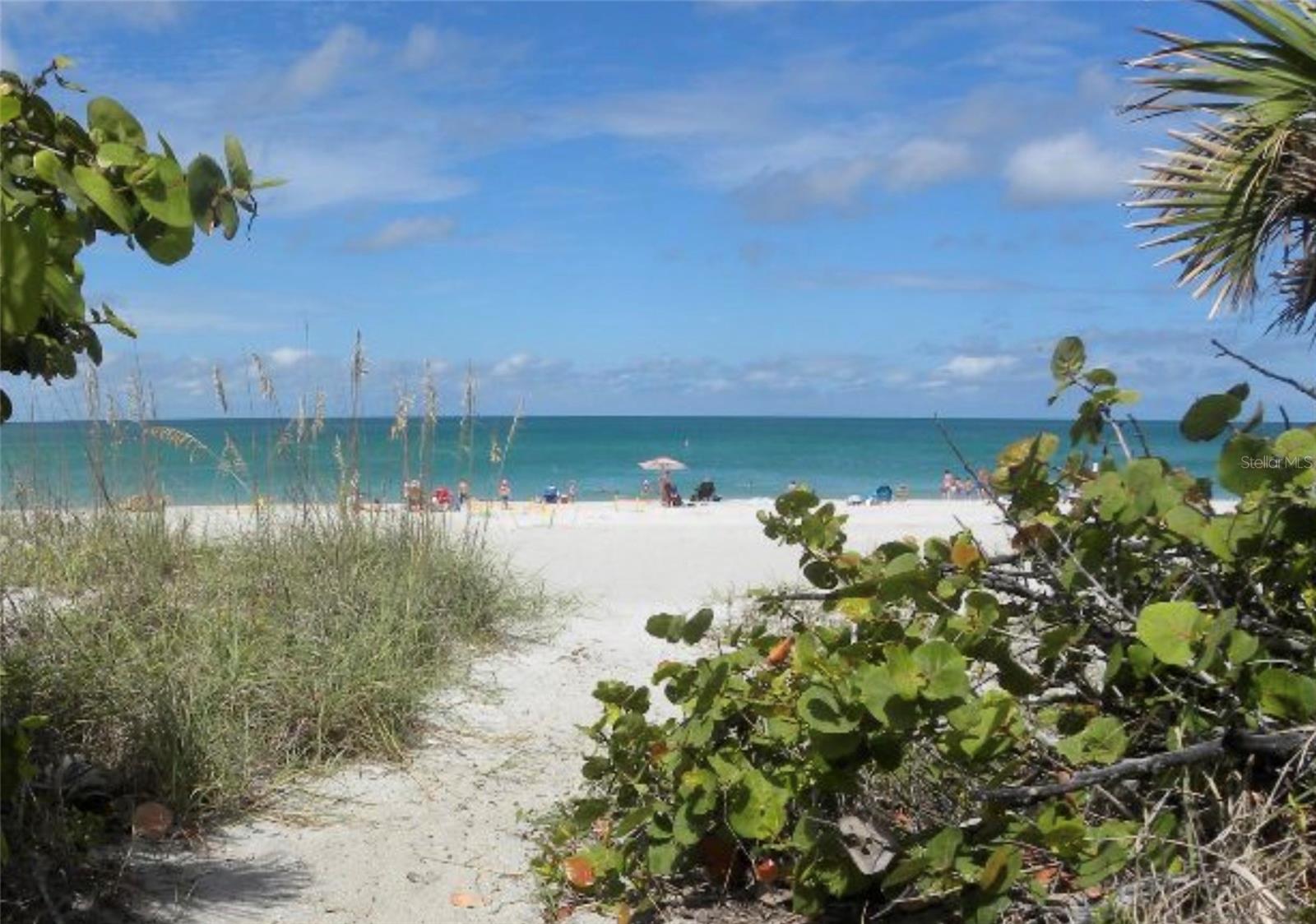 6211 TEDDER ST, PORT CHARLOTTE, FL, 33981