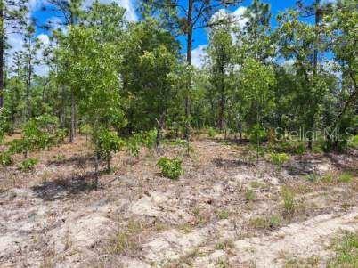 0 SW 87 ST, DUNNELLON, FL, 34432