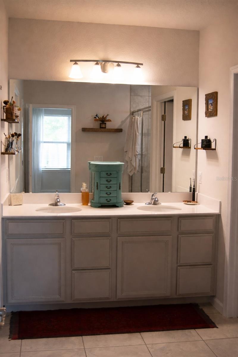 255 AUGUST FERN LOOP, MOUNT DORA, FL, 32757