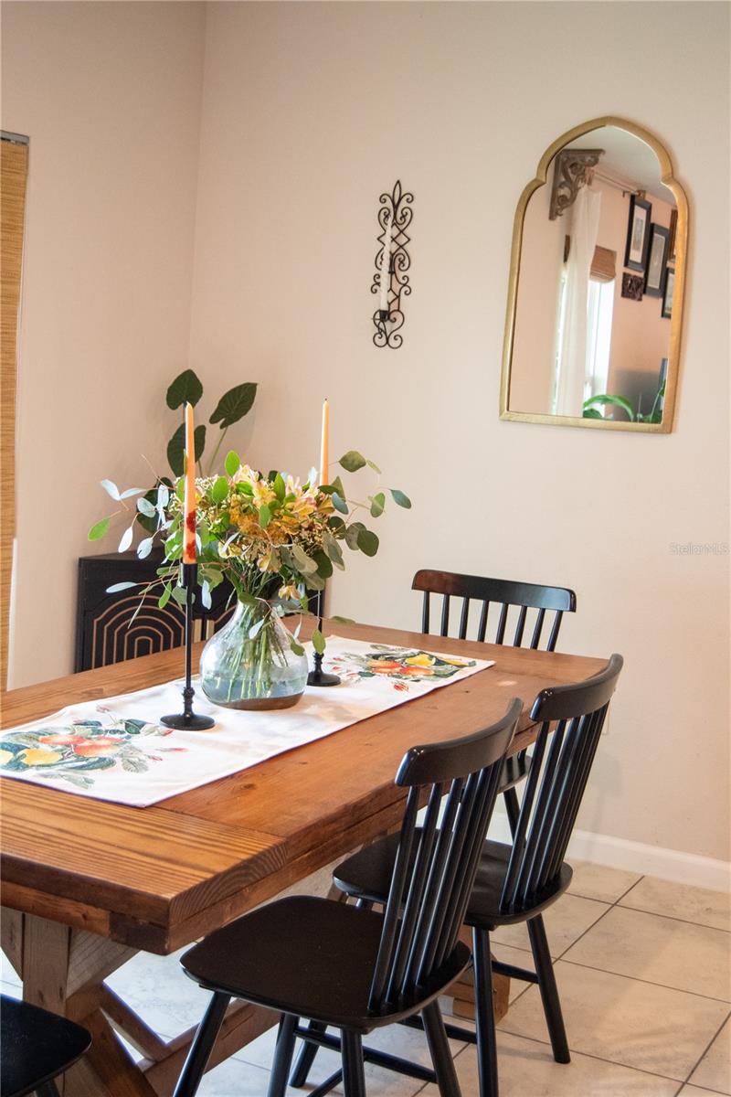 255 AUGUST FERN LOOP, MOUNT DORA, FL, 32757