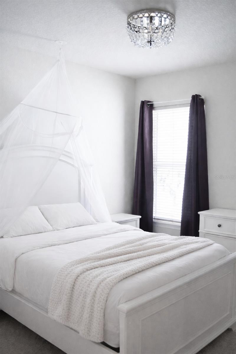 255 AUGUST FERN LOOP, MOUNT DORA, FL, 32757