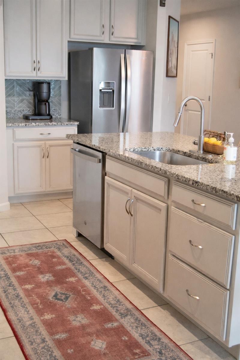 255 AUGUST FERN LOOP, MOUNT DORA, FL, 32757