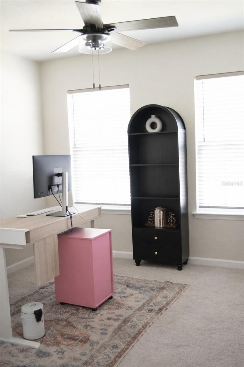 255 AUGUST FERN LOOP, MOUNT DORA, FL, 32757