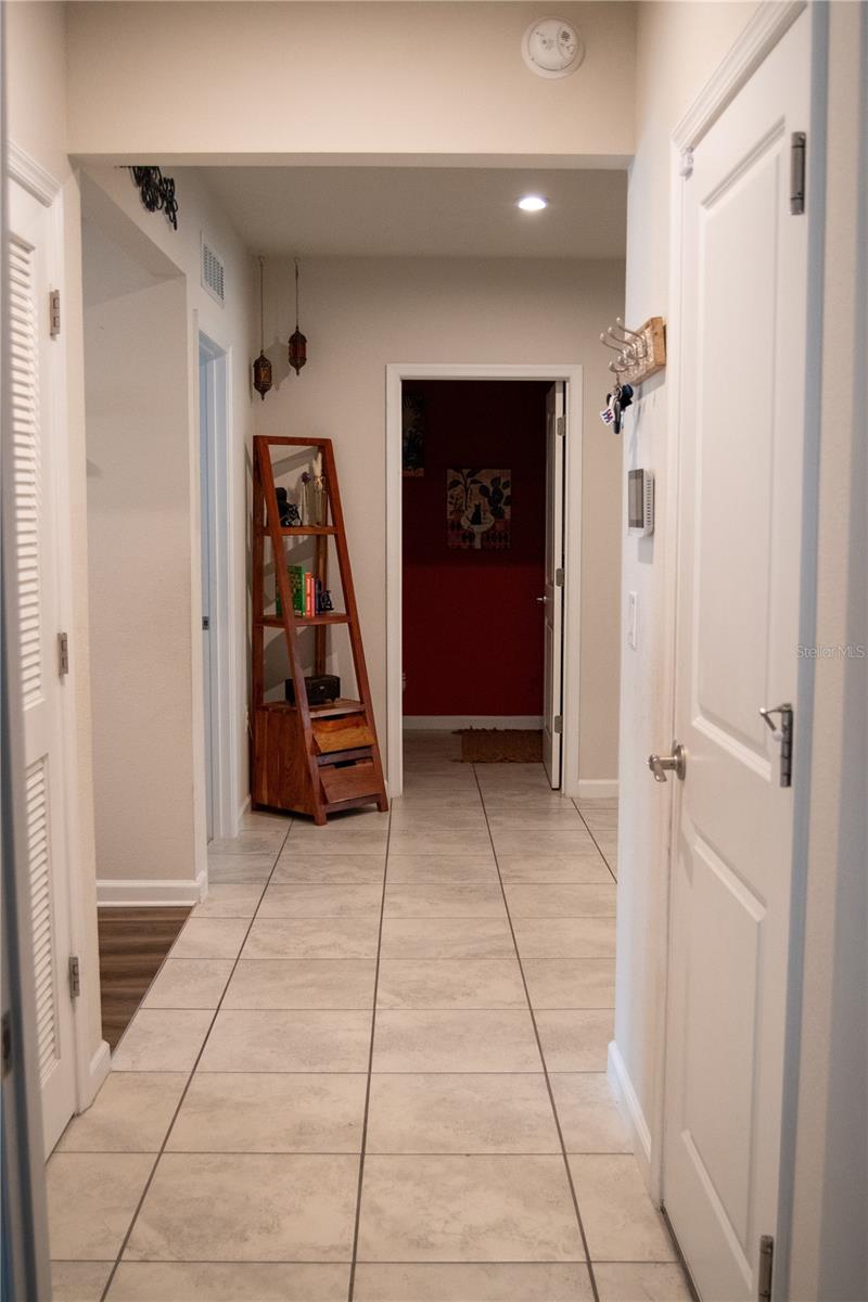 255 AUGUST FERN LOOP, MOUNT DORA, FL, 32757