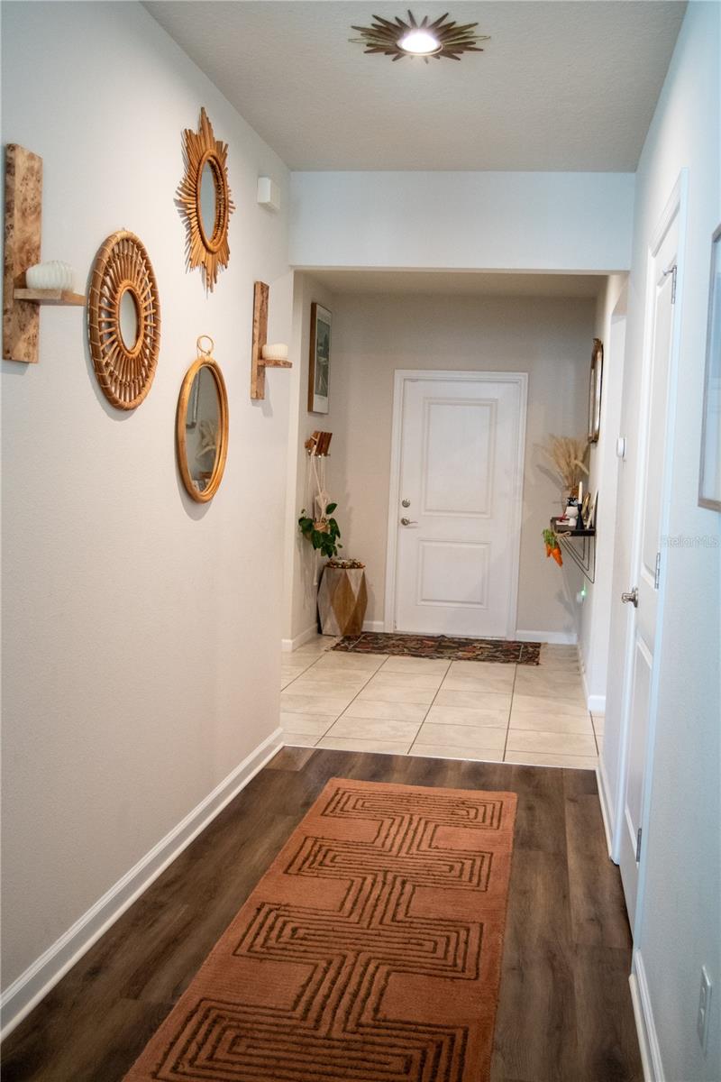 255 AUGUST FERN LOOP, MOUNT DORA, FL, 32757