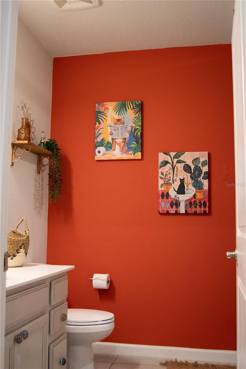 255 AUGUST FERN LOOP, MOUNT DORA, FL, 32757