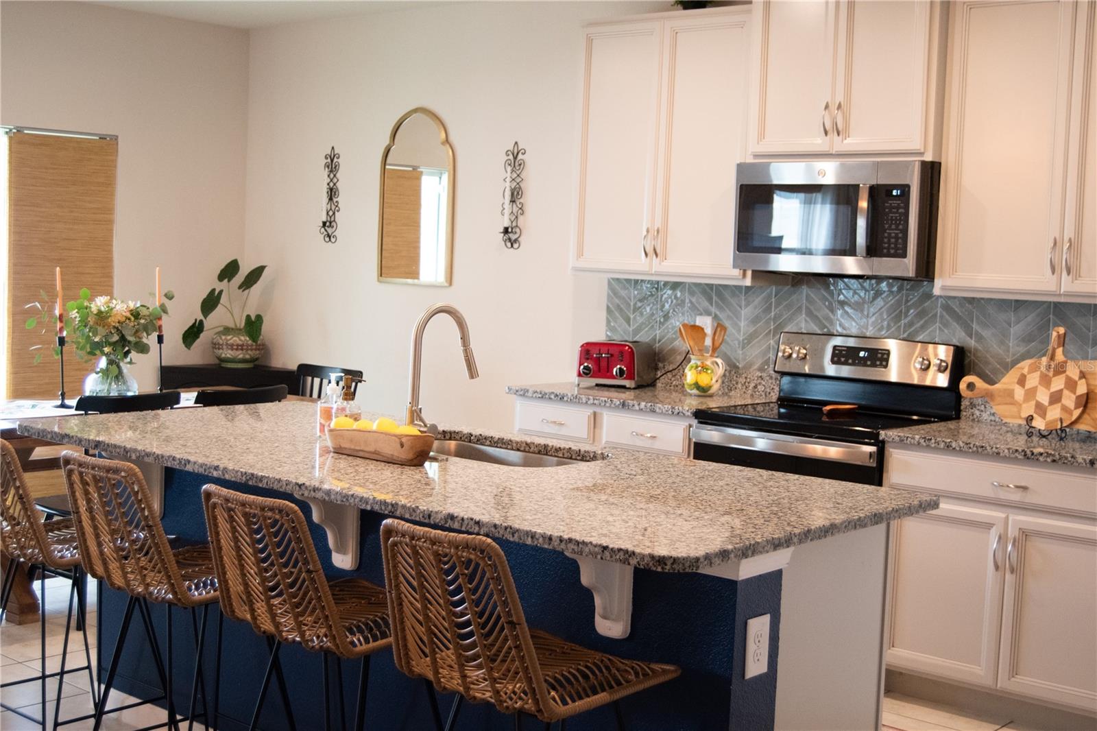 255 AUGUST FERN LOOP, MOUNT DORA, FL, 32757