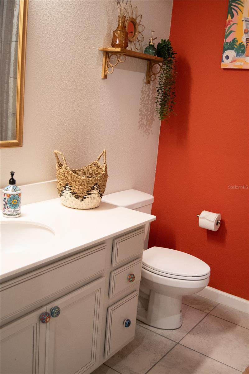 255 AUGUST FERN LOOP, MOUNT DORA, FL, 32757