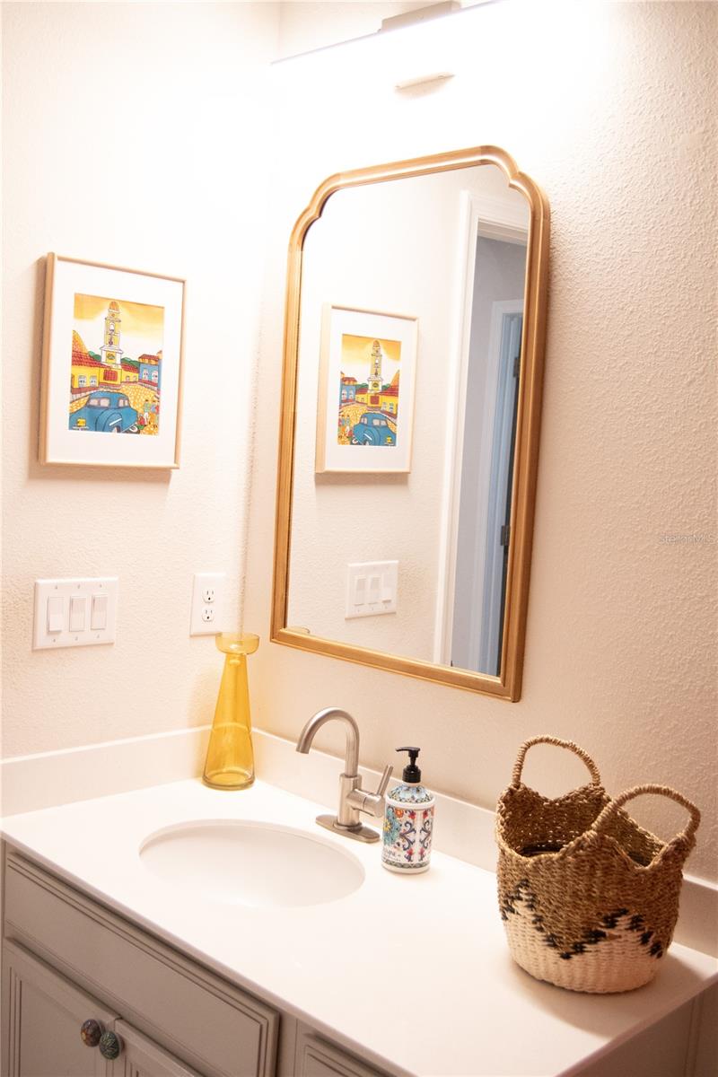 255 AUGUST FERN LOOP, MOUNT DORA, FL, 32757