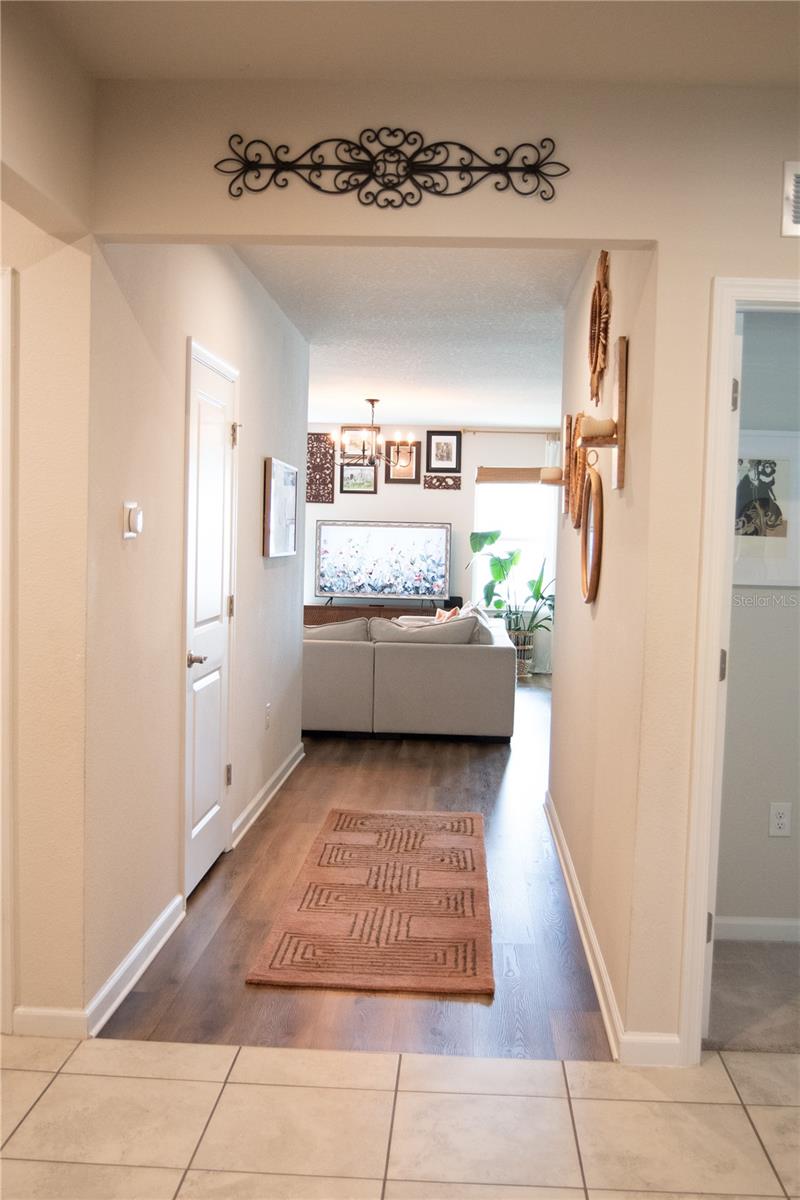 255 AUGUST FERN LOOP, MOUNT DORA, FL, 32757