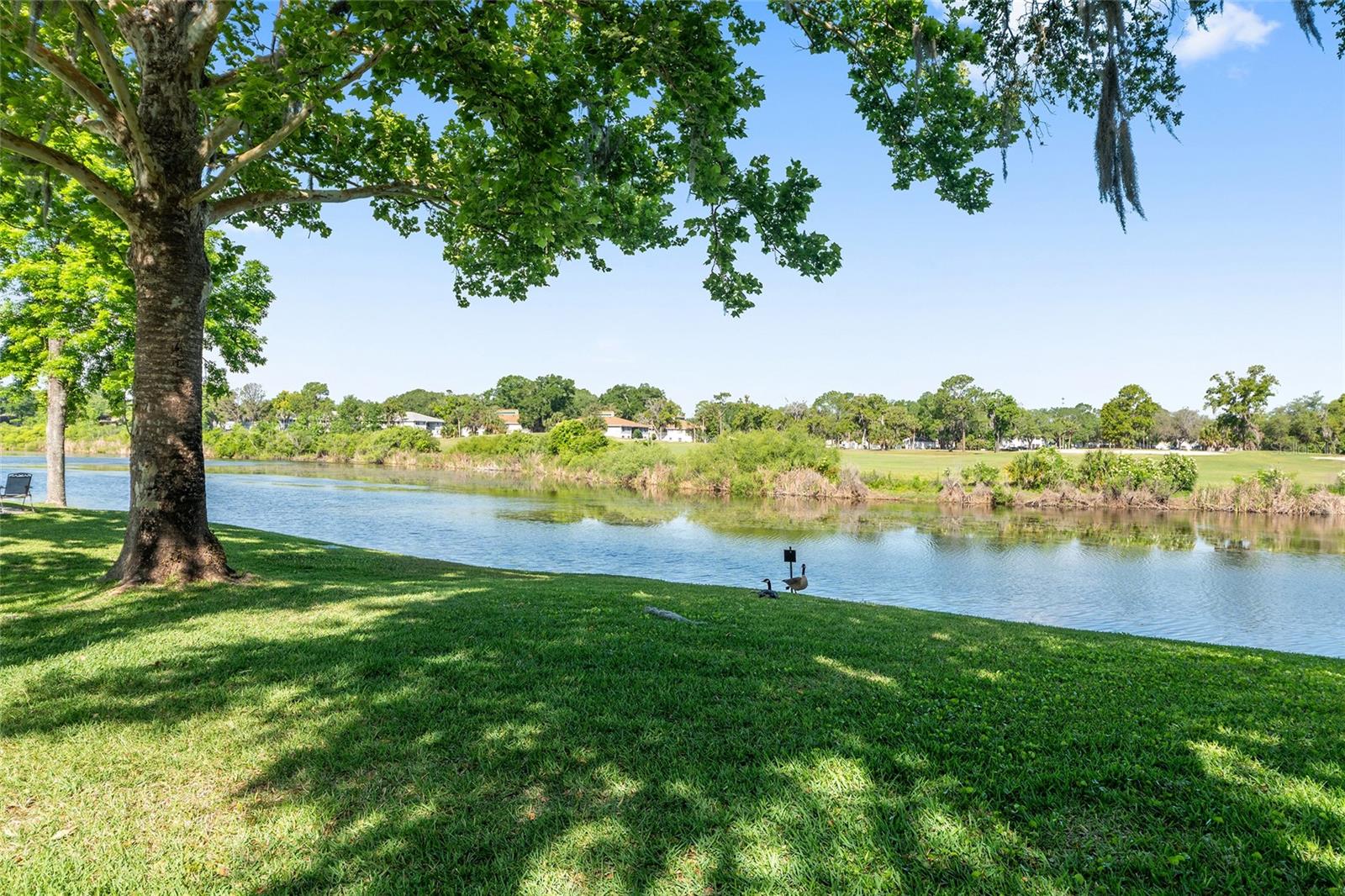 467 SE MIDWAY DR #A, OCALA, FL, 34472