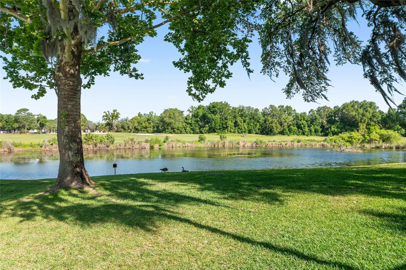 467 SE MIDWAY DR #A, OCALA, FL, 34472