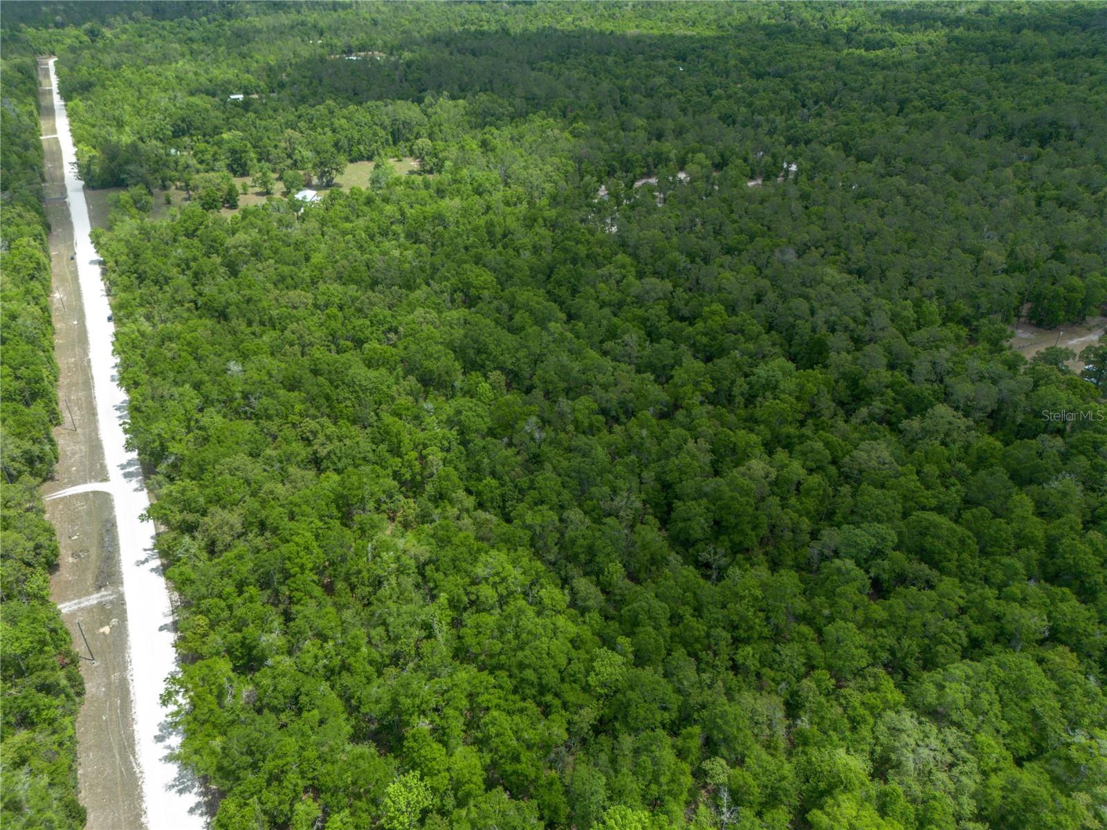 SW LONCALA LOOP, FORT WHITE, FL, 32038