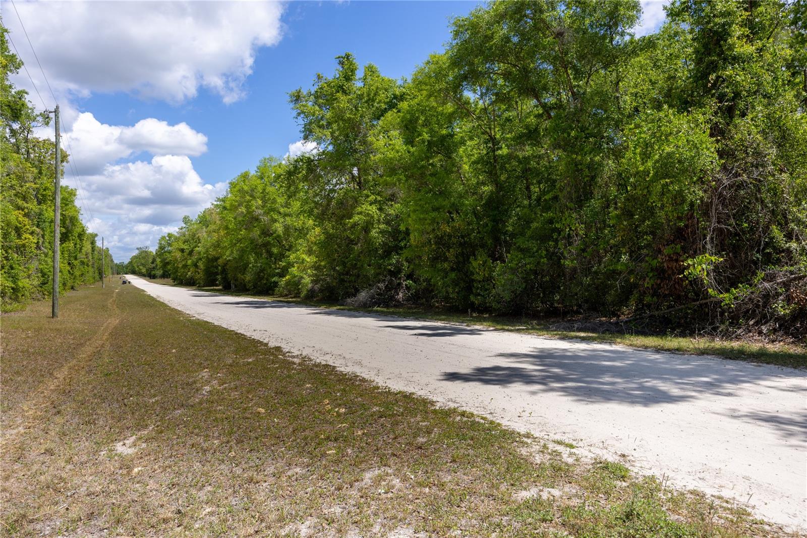 SW LONCALA LOOP, FORT WHITE, FL, 32038