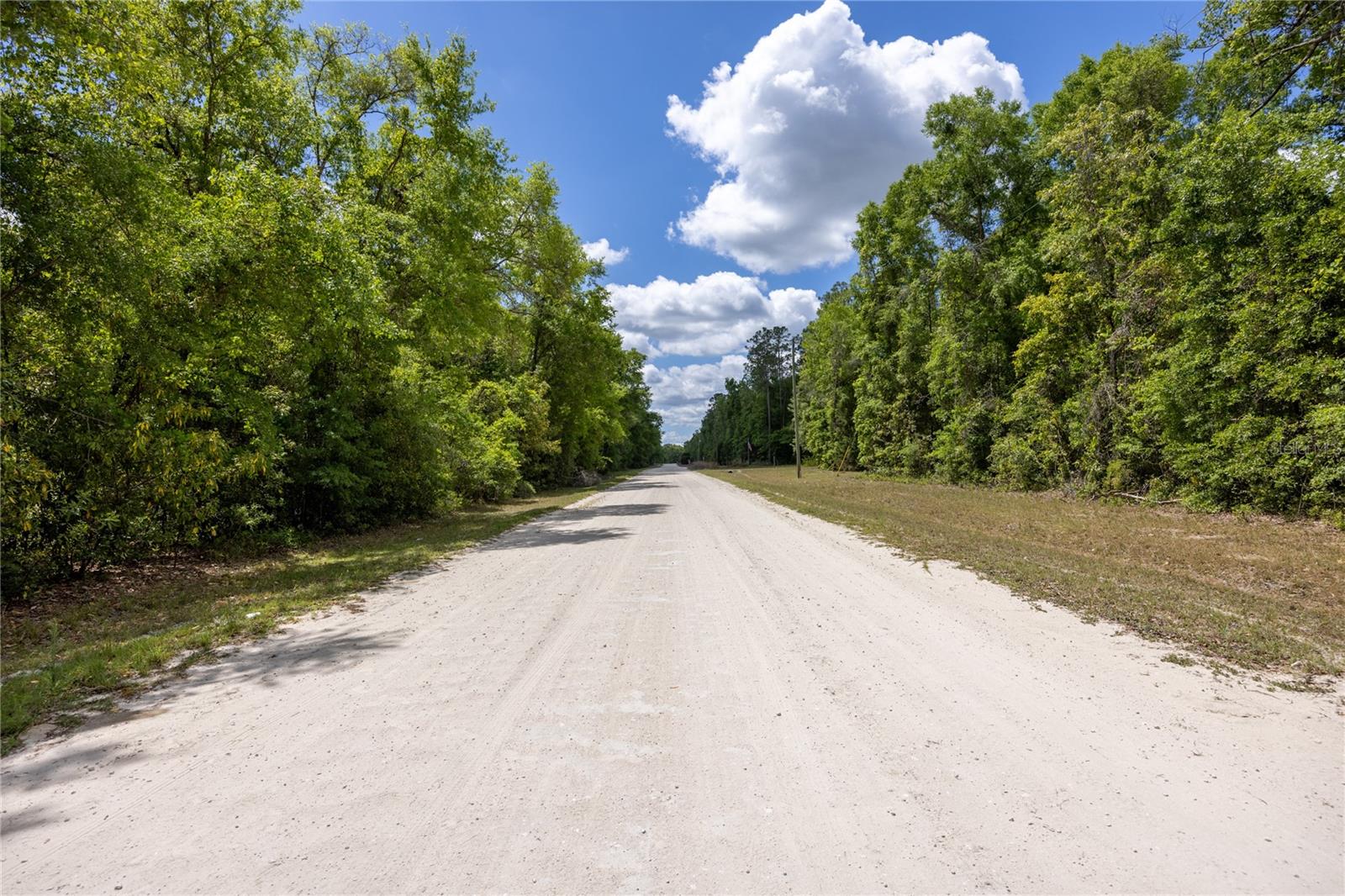 SW LONCALA LOOP, FORT WHITE, FL, 32038