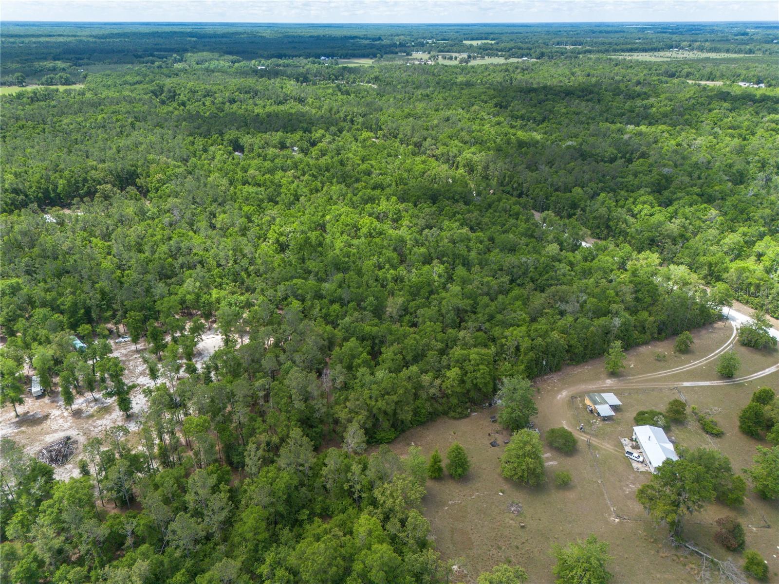 SW LONCALA LOOP, FORT WHITE, FL, 32038