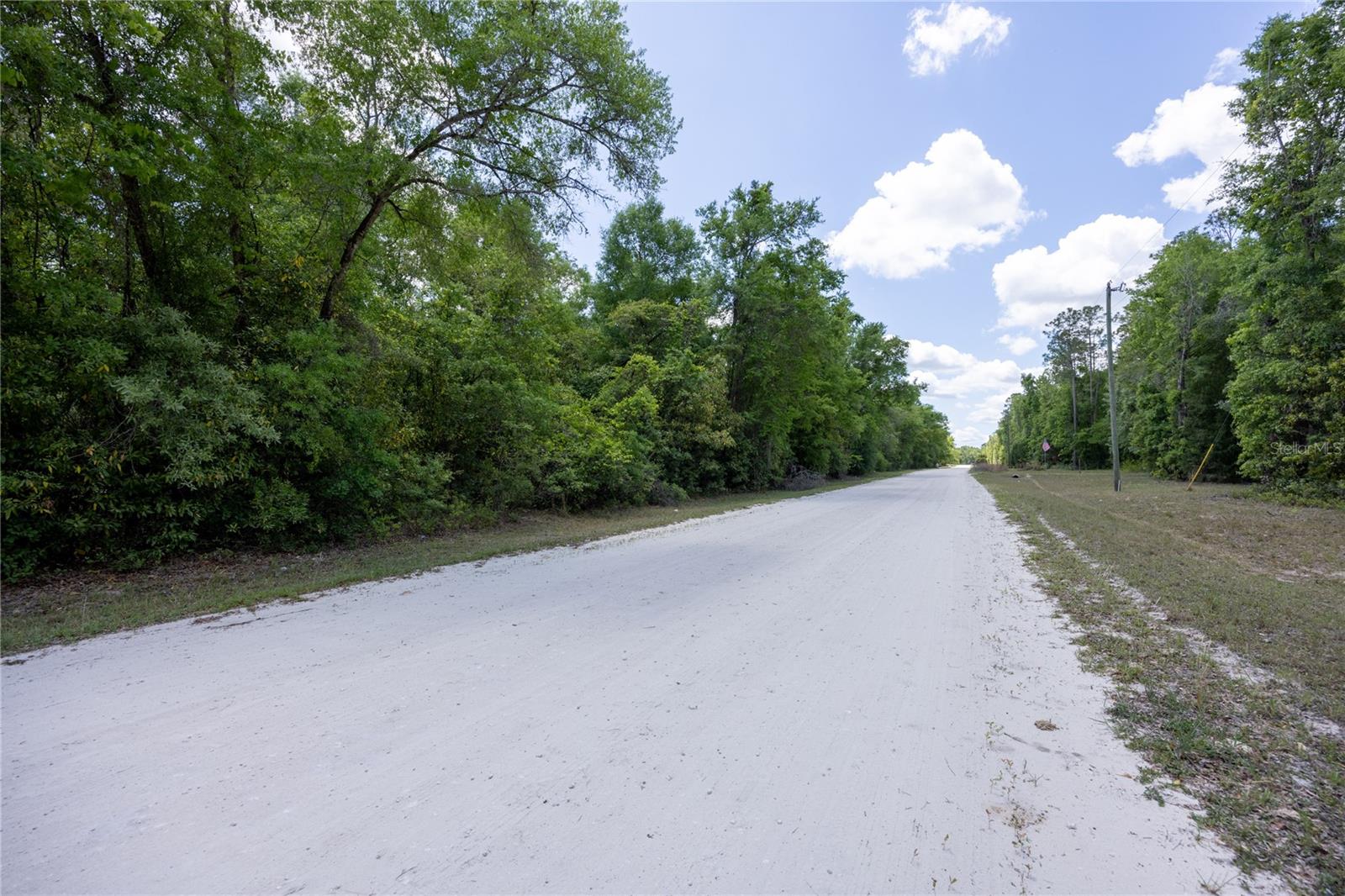 SW LONCALA LOOP, FORT WHITE, FL, 32038