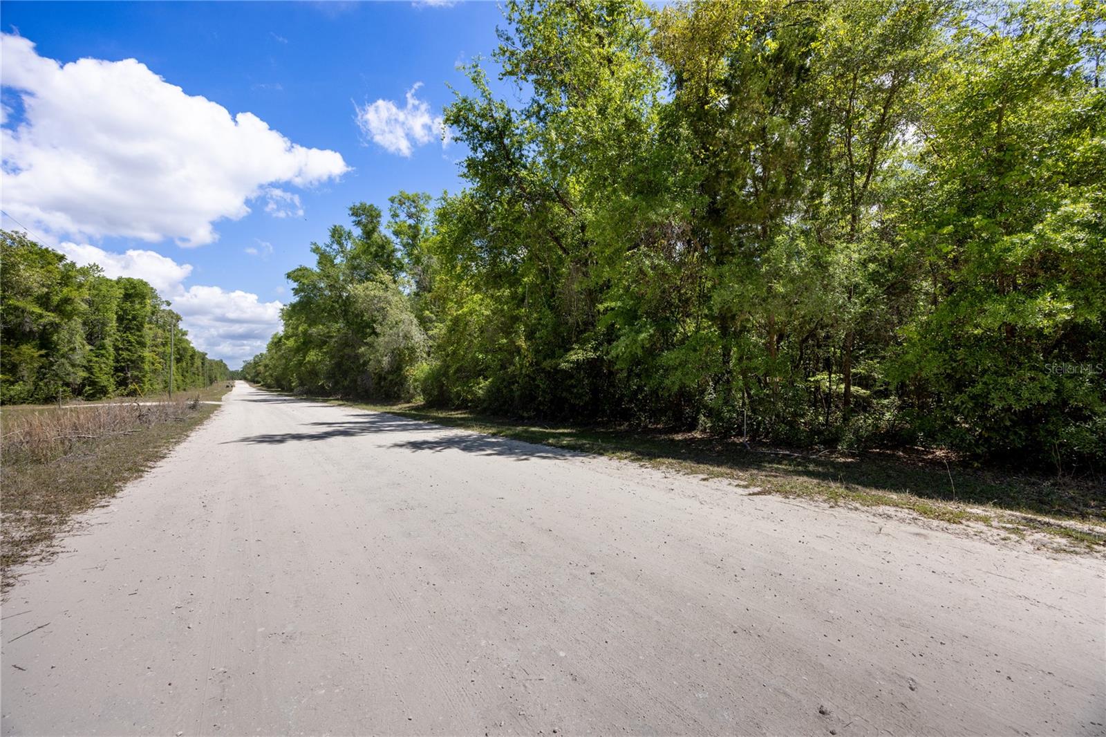 SW LONCALA LOOP, FORT WHITE, FL, 32038