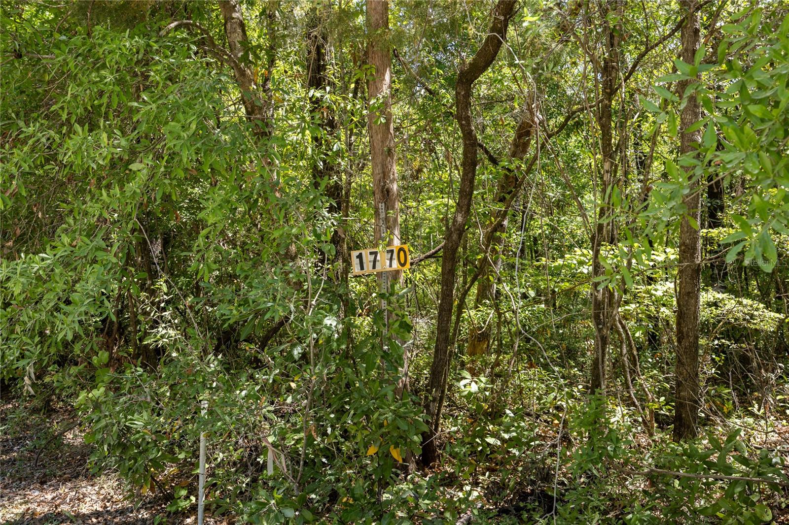 SW LONCALA LOOP, FORT WHITE, FL, 32038