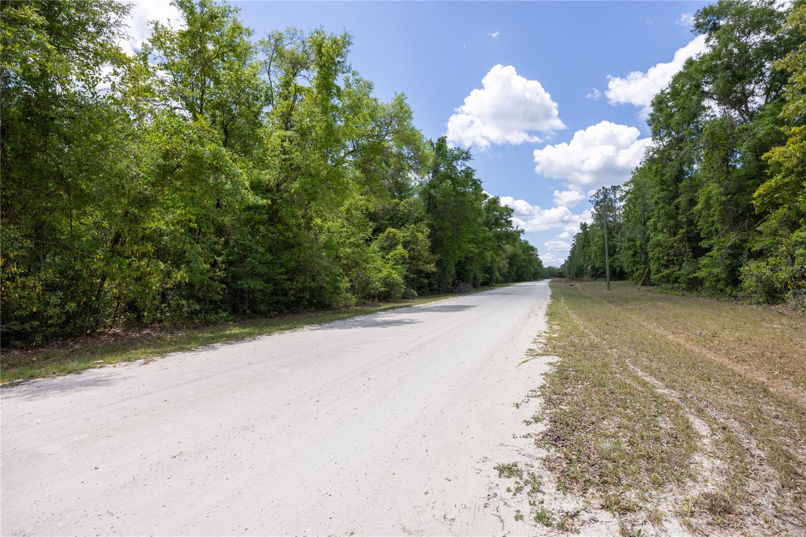 SW LONCALA LOOP, FORT WHITE, FL, 32038