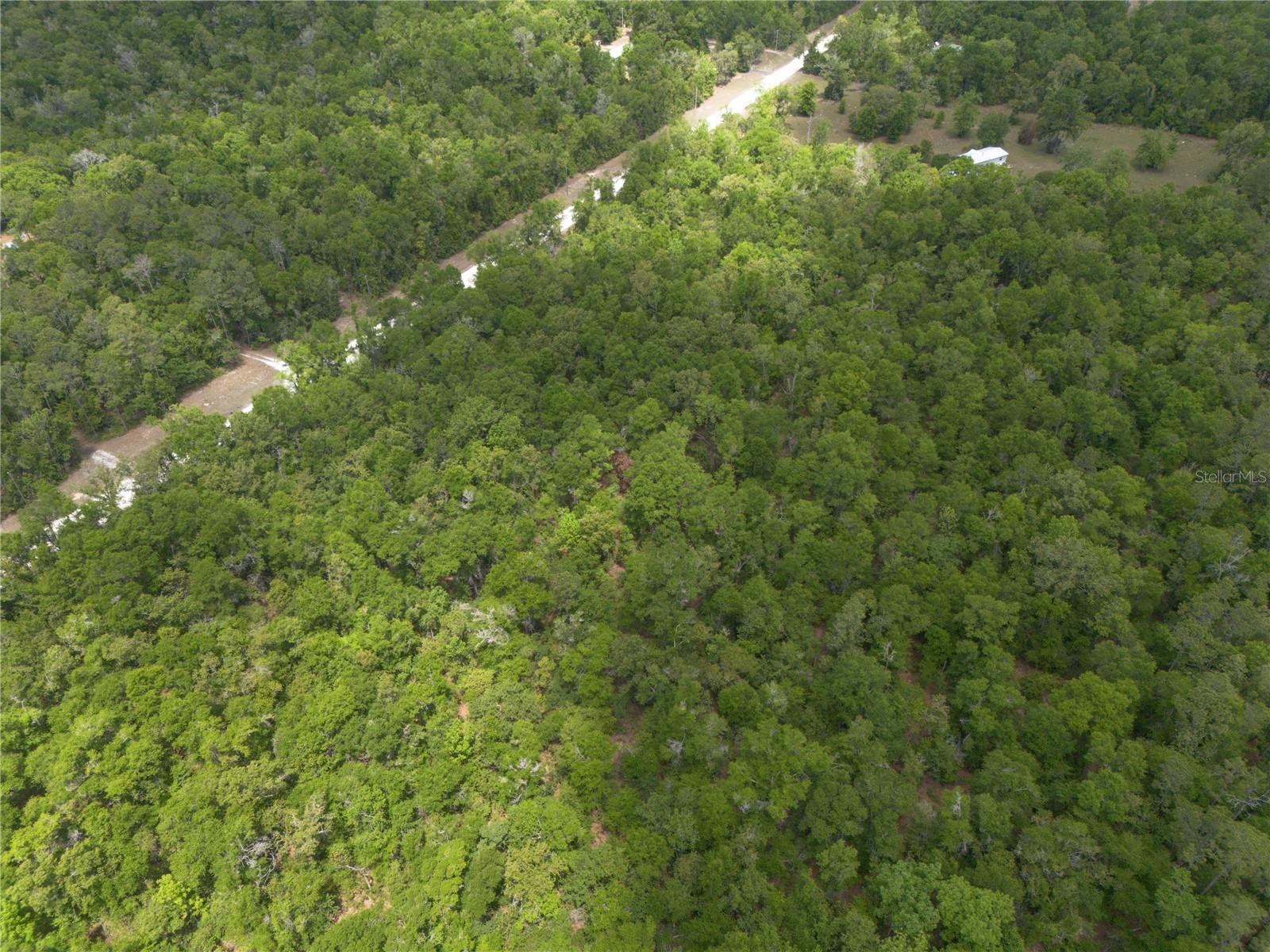 SW LONCALA LOOP, FORT WHITE, FL, 32038