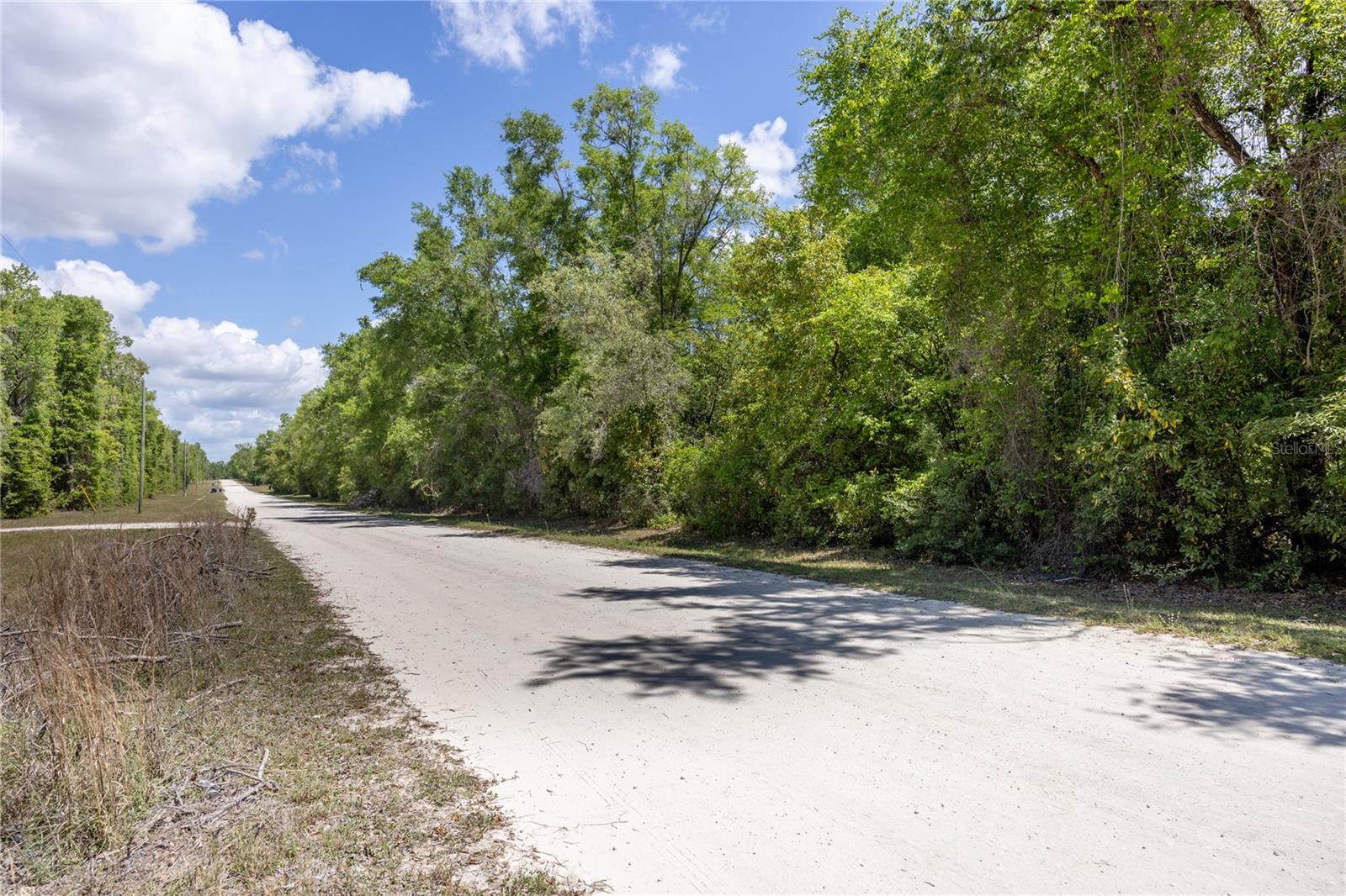 SW LONCALA LOOP, FORT WHITE, FL, 32038