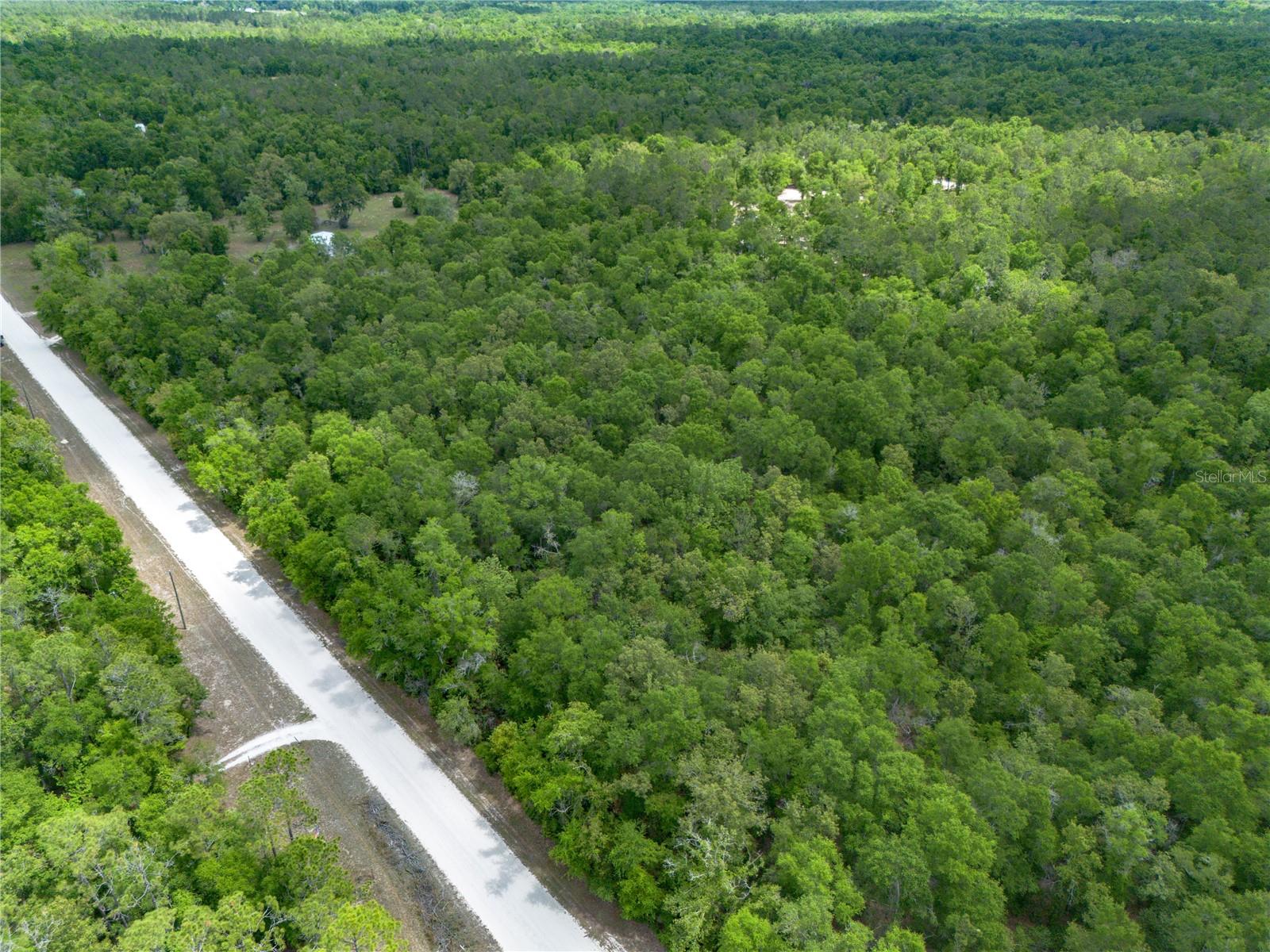 SW LONCALA LOOP, FORT WHITE, FL, 32038