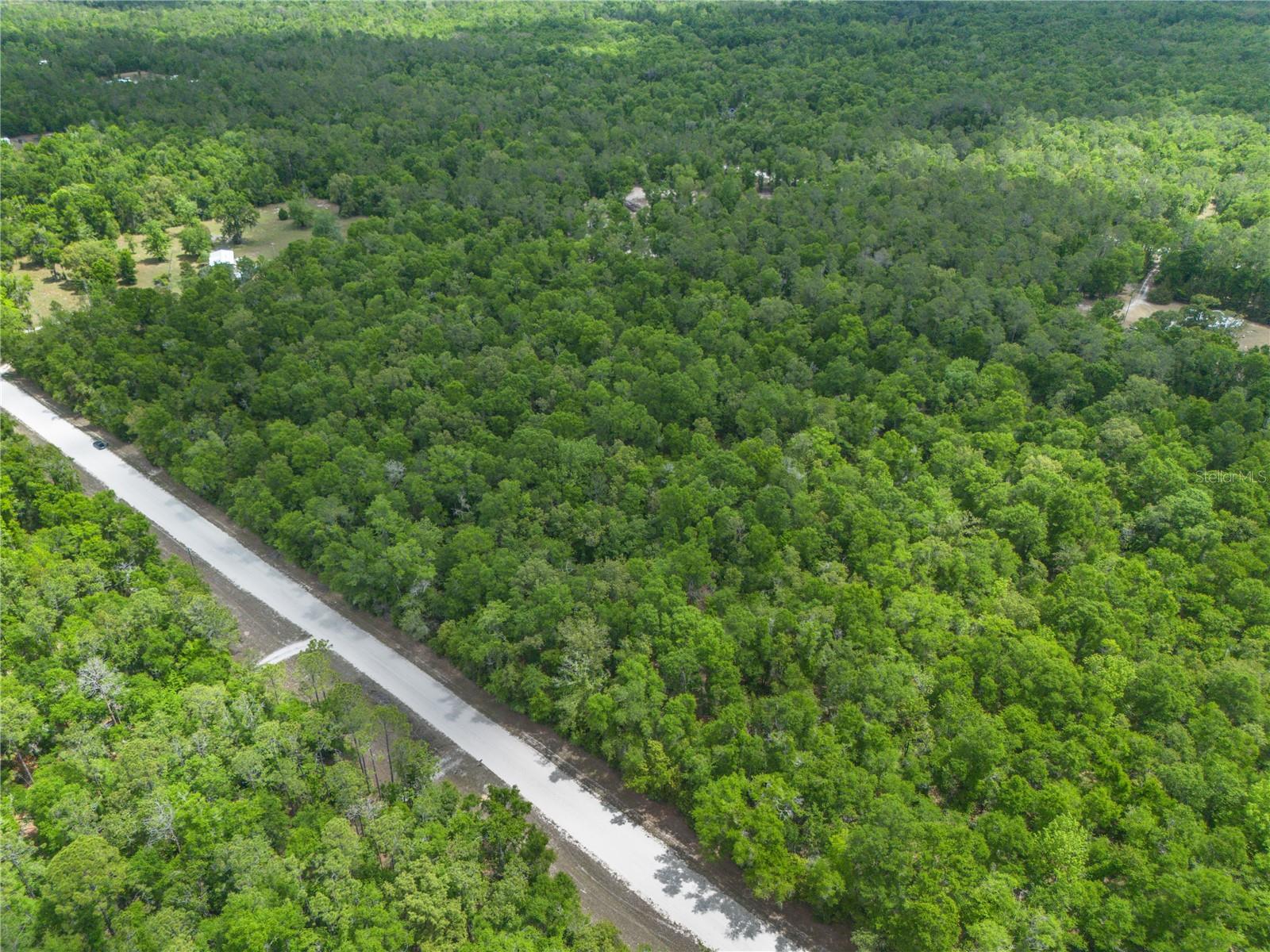 SW LONCALA LOOP, FORT WHITE, FL, 32038