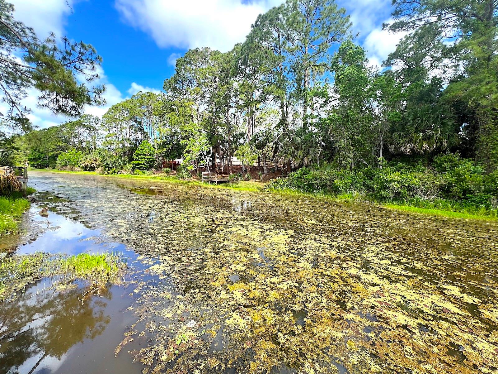 47 PHEASANT DR, PALM COAST, FL, 32164