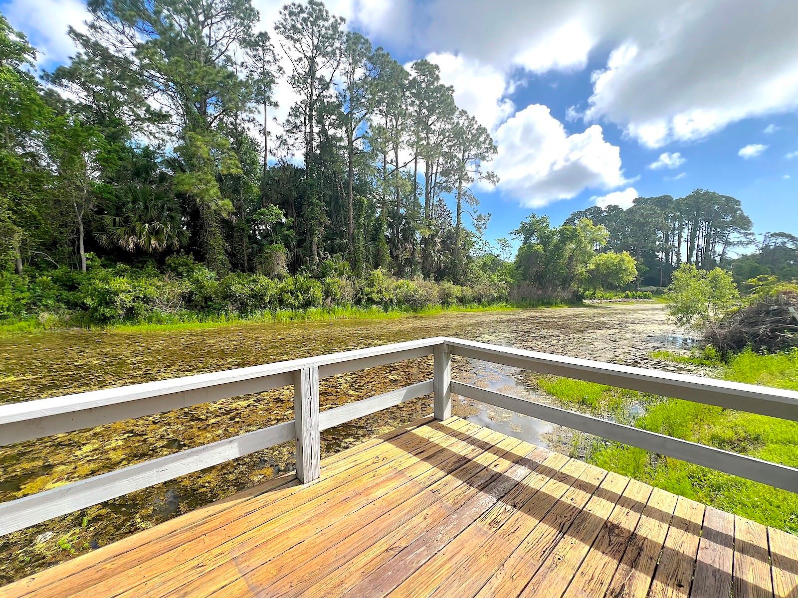47 PHEASANT DR, PALM COAST, FL, 32164