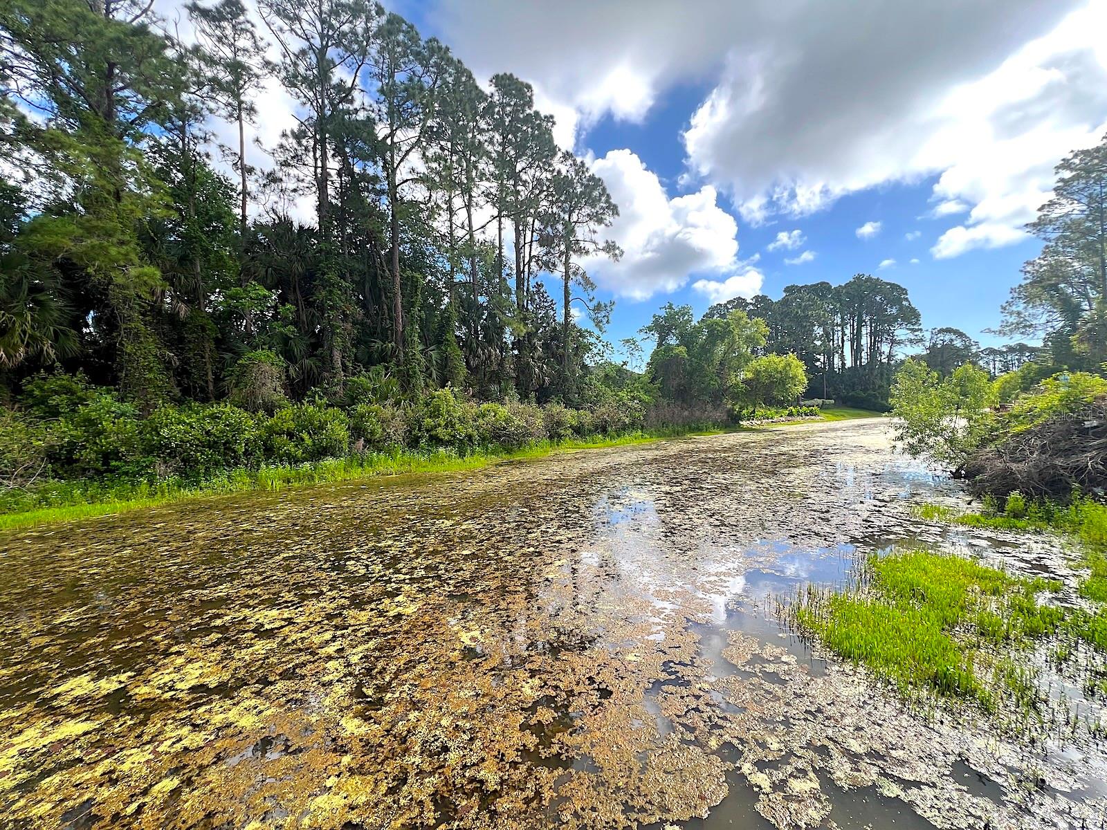 47 PHEASANT DR, PALM COAST, FL, 32164