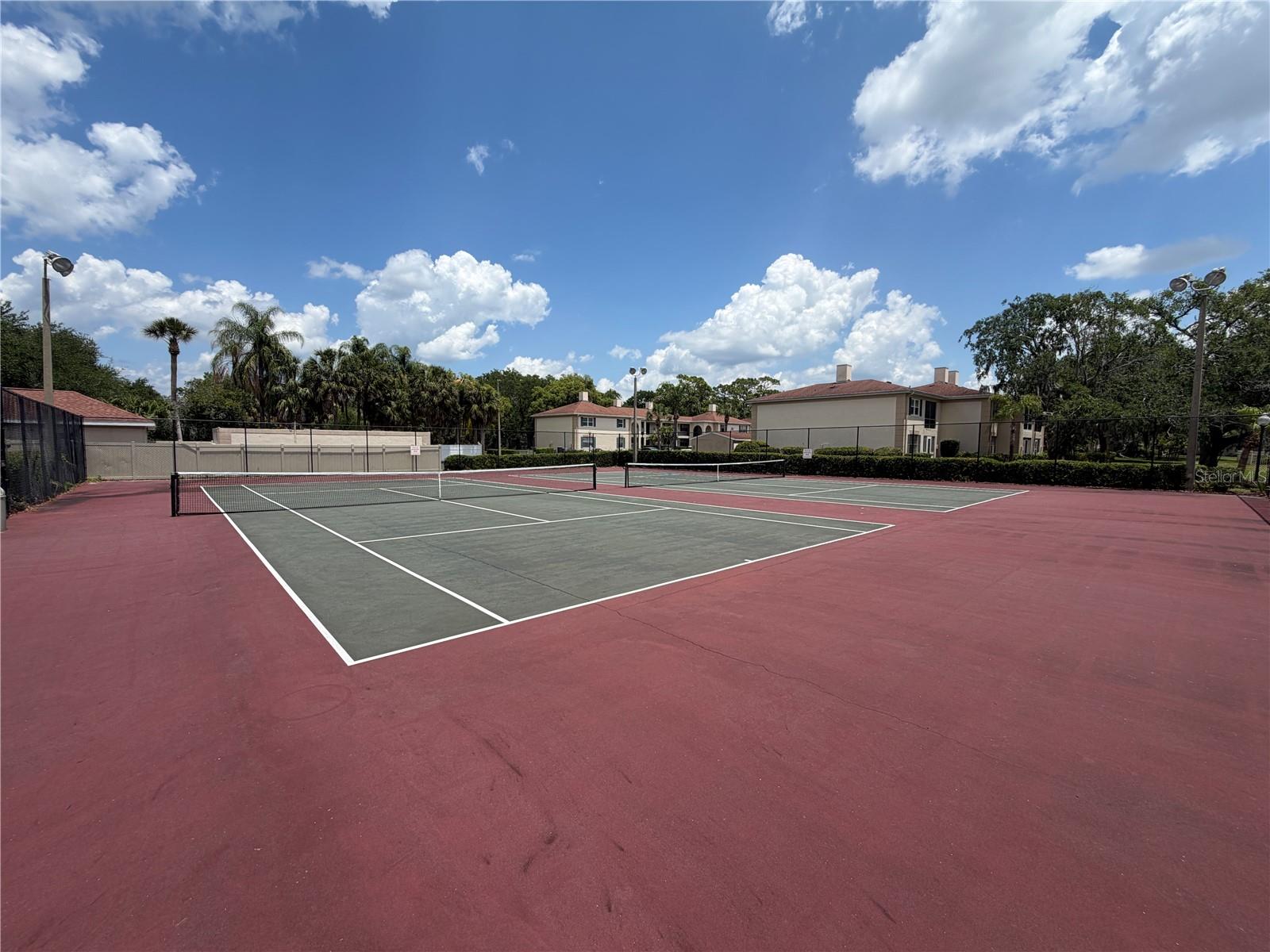 10335 CARROLLWOOD LN #116, TAMPA, FL, 33618