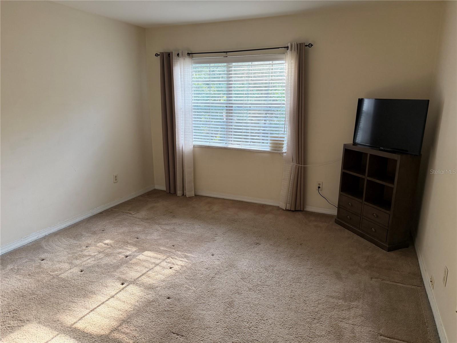 10335 CARROLLWOOD LN #116, TAMPA, FL, 33618