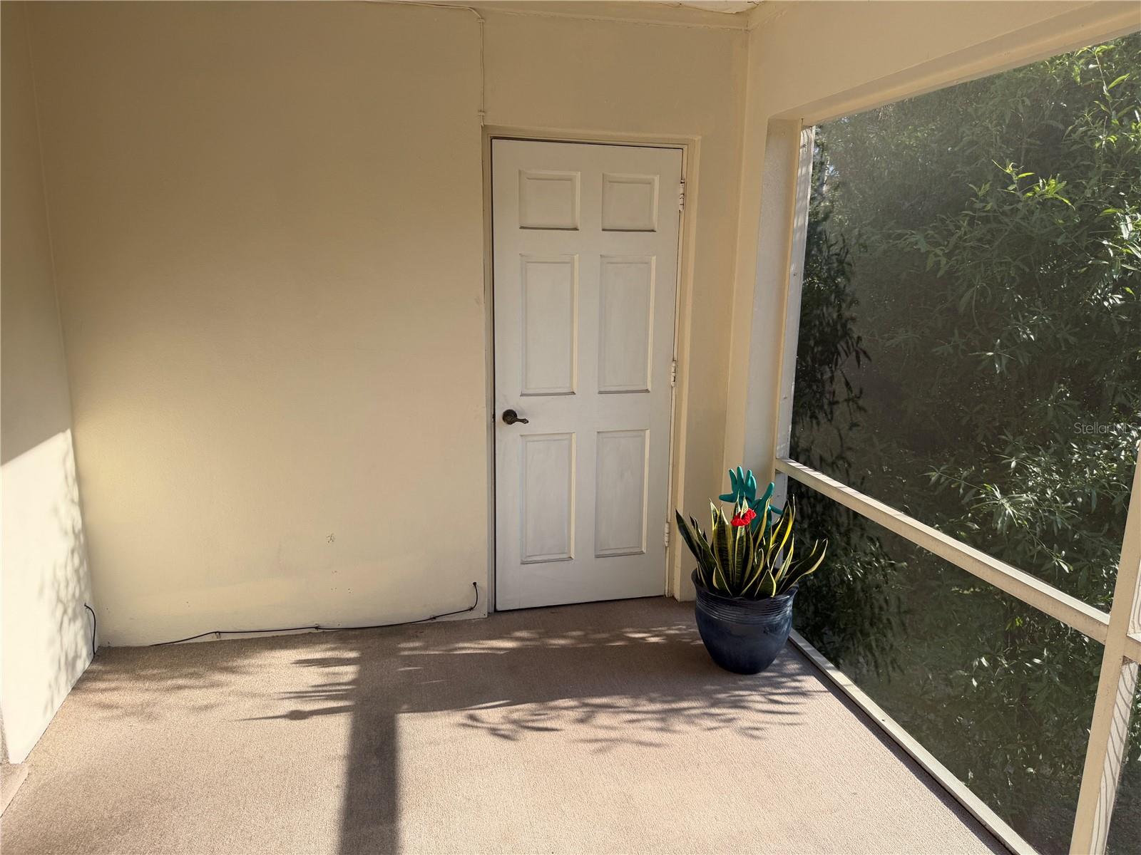 10335 CARROLLWOOD LN #116, TAMPA, FL, 33618